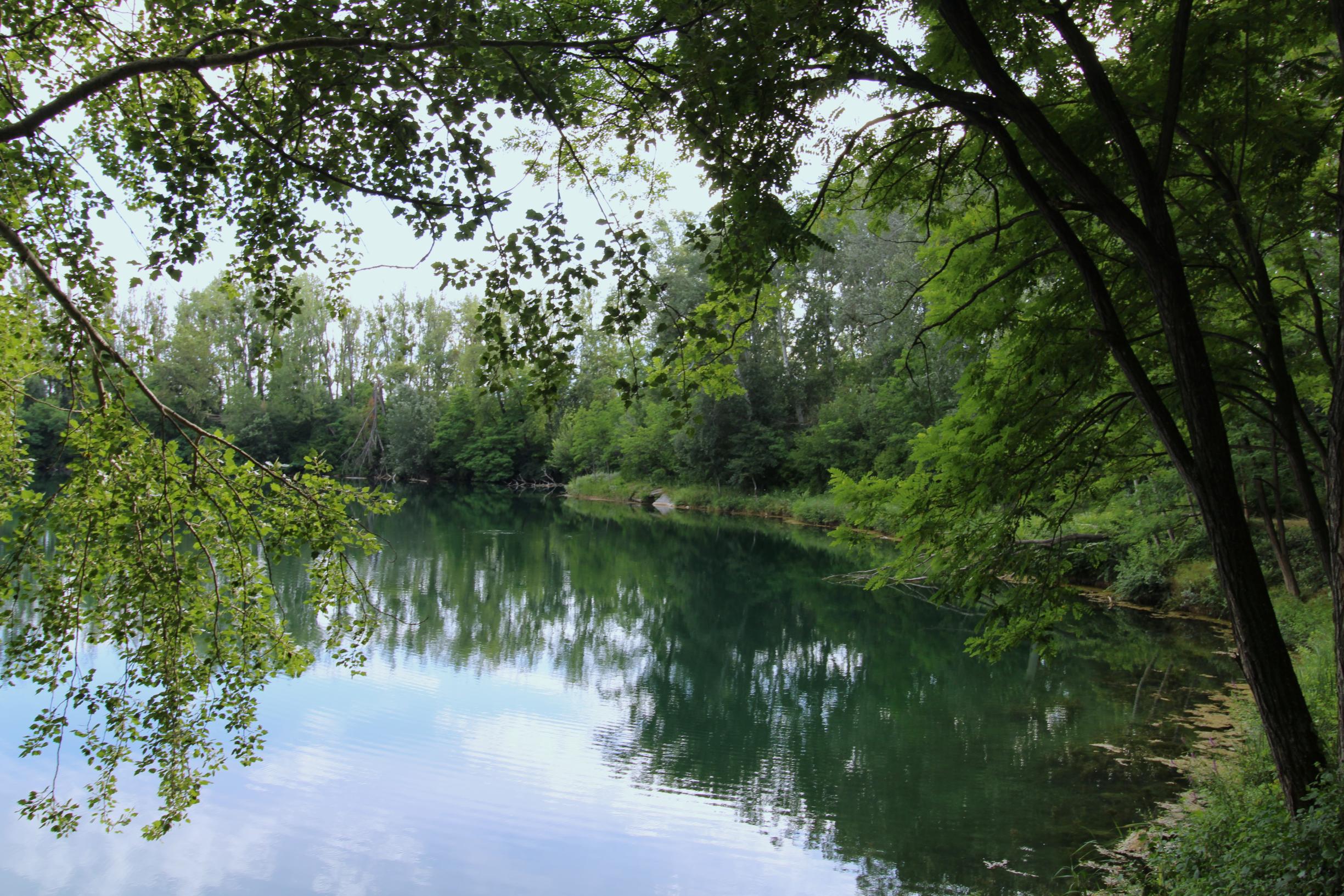 ZNŹENÁ CENA ! - NA PREDAJ - Jazero pri Tomášikove