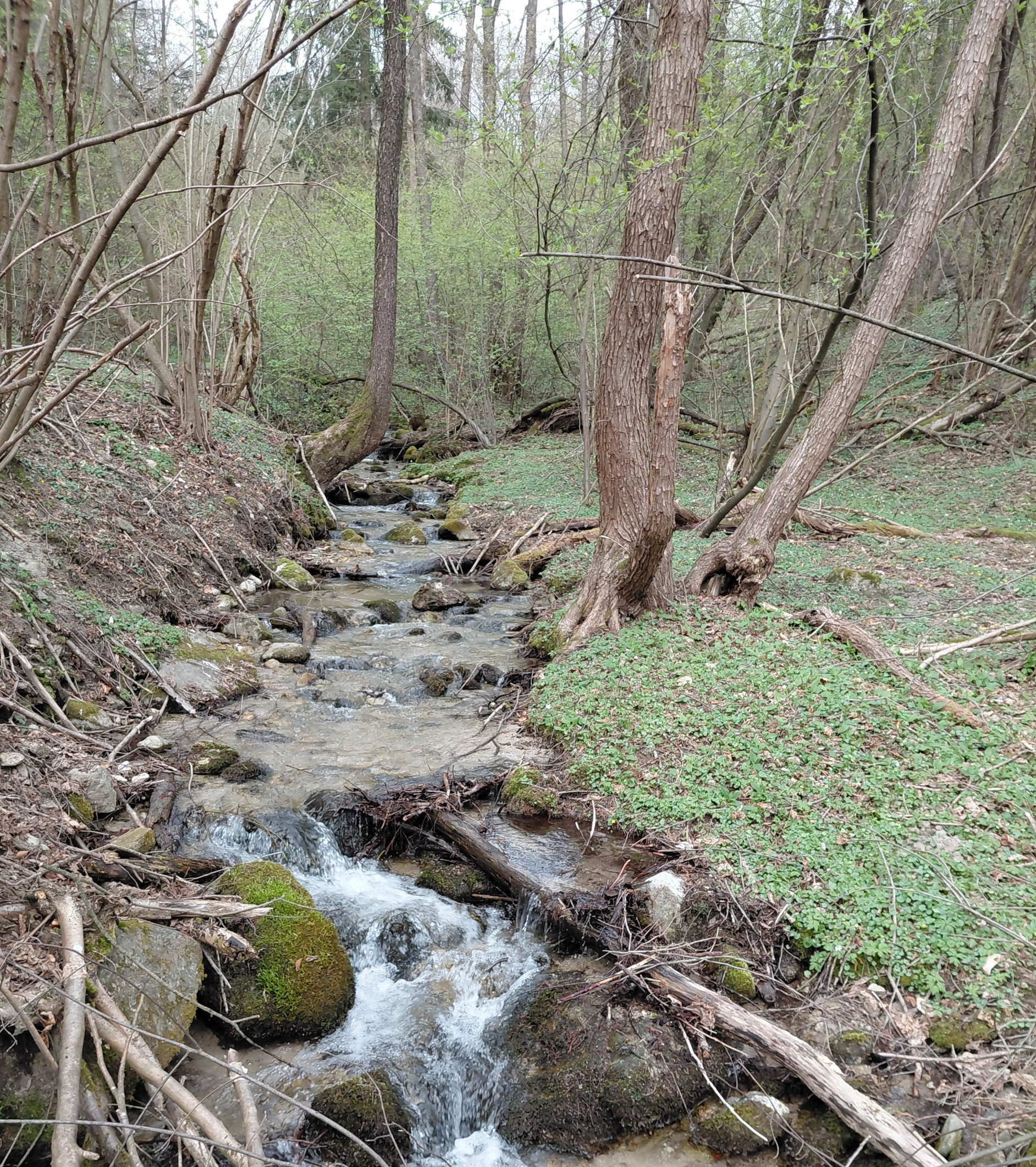 Rekreačný pozemok Turčianske Kľačany 1 757m2