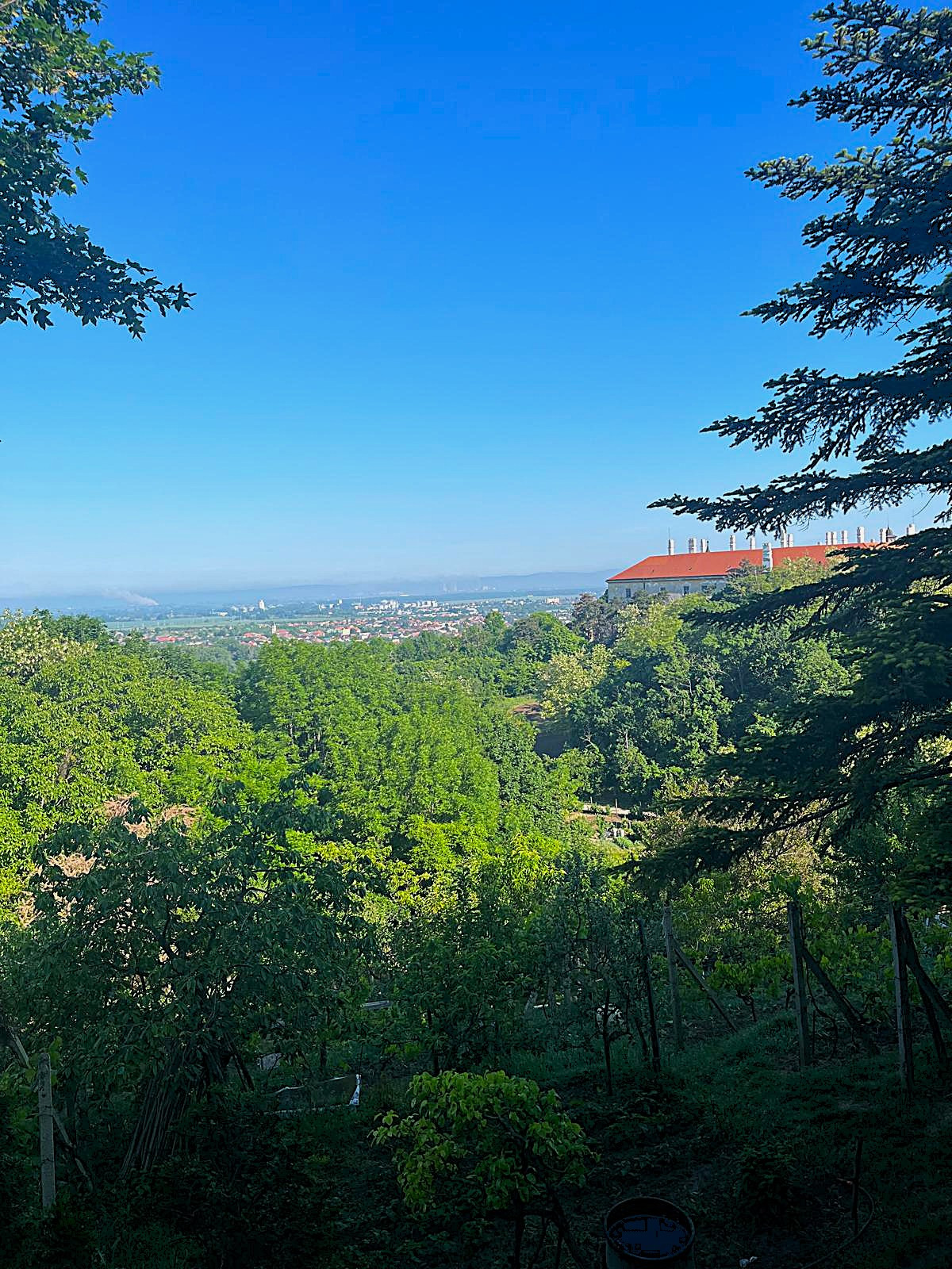 NA PREDAJ - Záhrada v Hlohovci - časť Obora
