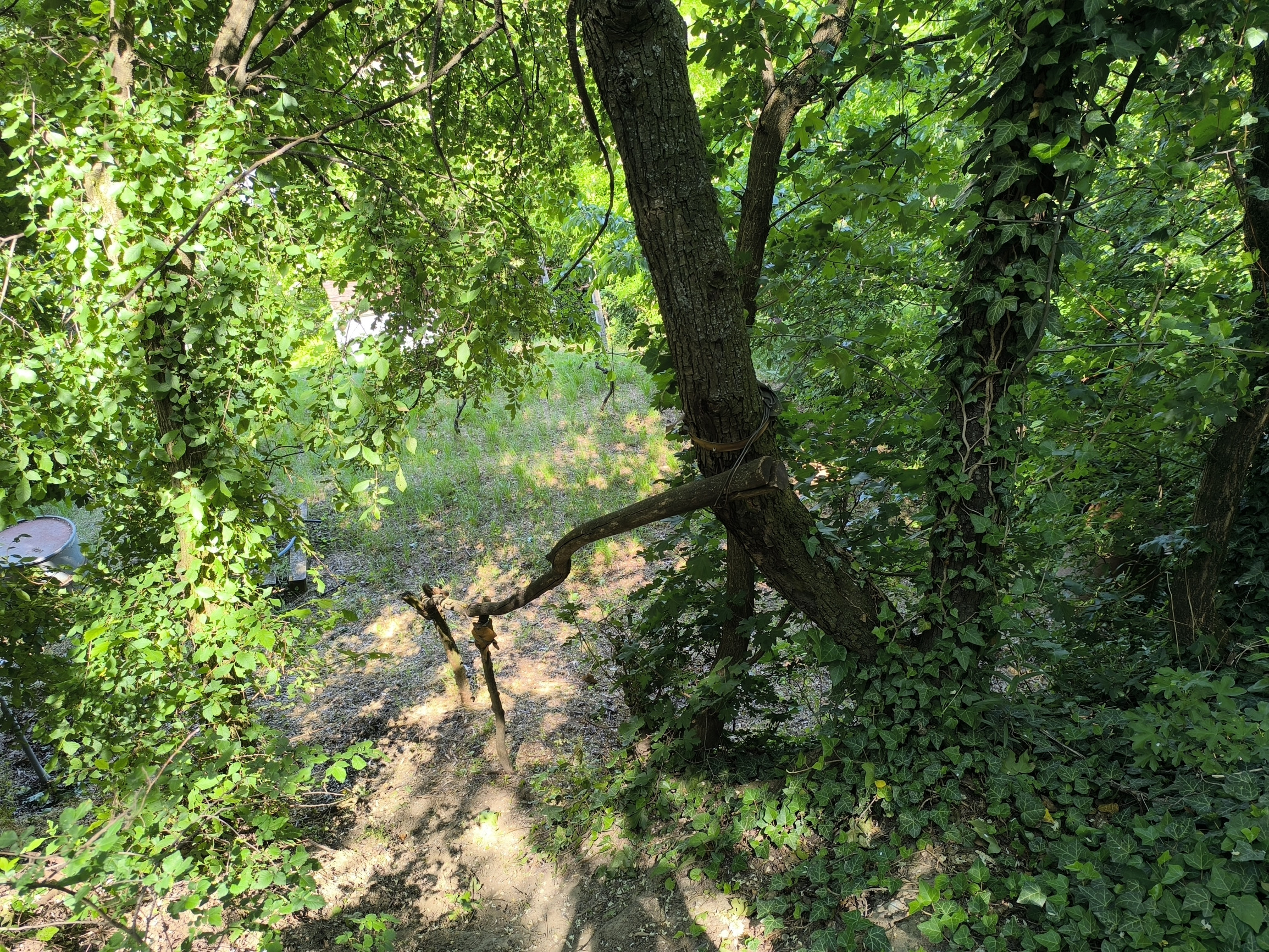 NA PREDAJ - Záhrada v Hlohovci - časť Obora
