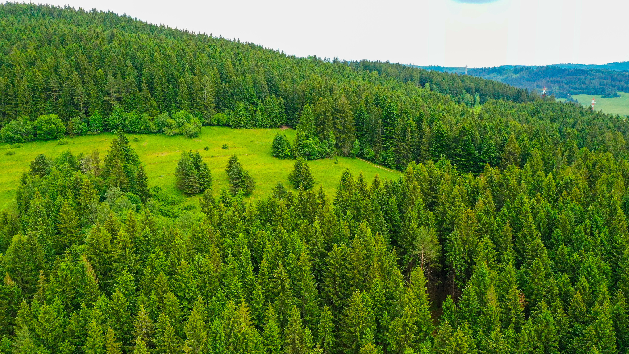 🌾 POZEMOK NA PREDAJ | 1783 m² | Svrčinovec