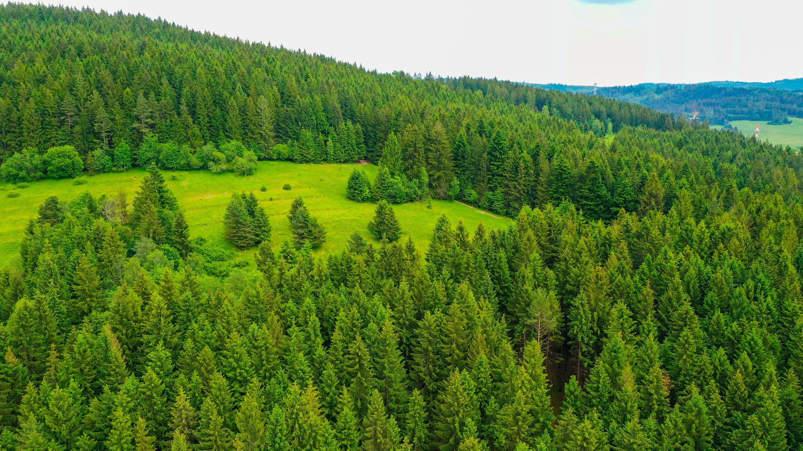 🌾 POZEMOK NA PREDAJ | 1783 m² | Svrčinovec