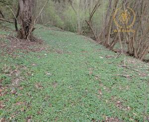 Rekreačný pozemok Turčianske Kľačany 1 757m2