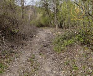 Rekreačný pozemok Turčianske Kľačany 1 757m2