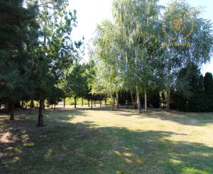 NA PREDAJ -Rodinný dom s veľkým pozemkom v Borskom Mikuláši