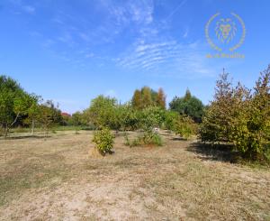 NA PREDAJ -Rodinný dom s veľkým pozemkom v Borskom Mikuláši