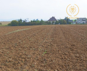 PRIPRAVUJEME NA PREDAJ: POZEMOK V DOLNOM LOPAŠOVE