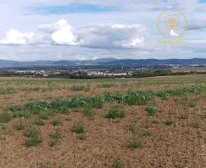 PRIPRAVUJEME NA PREDAJ: POZEMOK VO VRBOVOM