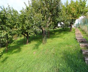 NA PREDAJ - Pozemok s chatkou neďaleko Sĺňavy