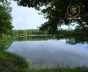 ZNŹENÁ CENA ! - NA PREDAJ - Jazero pri Tomášikove