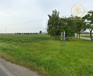 Na predaj pozemok v obci Tomašikovo.