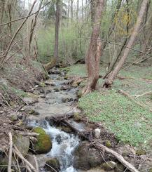 Rekreačný pozemok Turčianske Kľačany 1 757m2