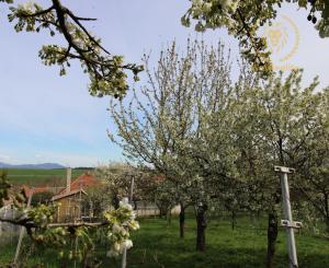 Rezervované - Rodinný dom so záhradou v Sasinkove