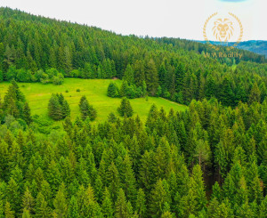 🌾 POZEMOK NA PREDAJ | 1783 m² | Svrčinovec