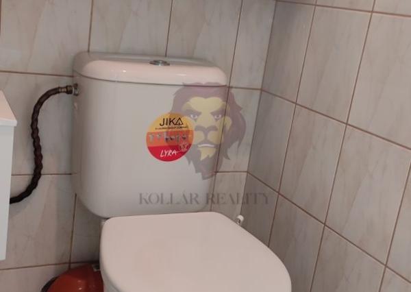 NA PREDAJ PRIEVIDZA , I.BUKOVČANA Mäsiarstvo 79m2