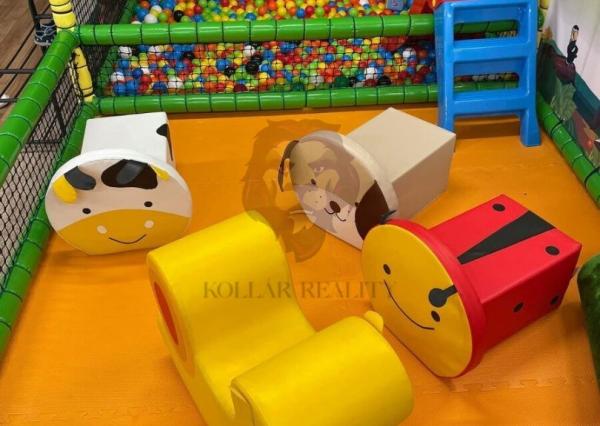 ODSTÚPENIE OD DETSKÉ IHRISKA TAJKO , PRIEVIDZA