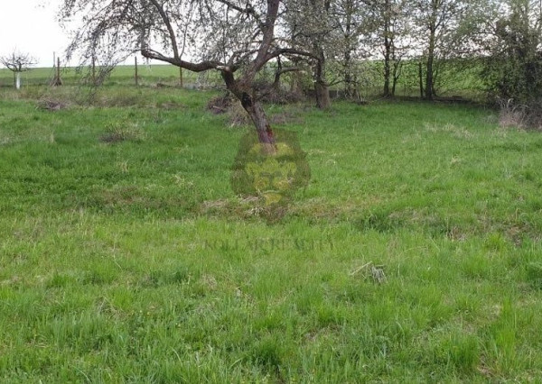 NA PREDAJ KOCURANY , POZEMOK 1214m2