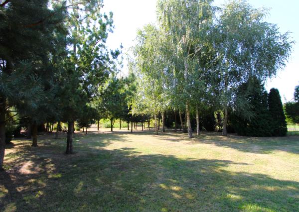 NA PREDAJ -Rodinný dom s veľkým pozemkom v Borskom Mikuláši