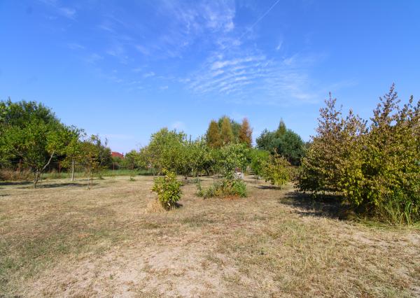 NA PREDAJ -Rodinný dom s veľkým pozemkom v Borskom Mikuláši