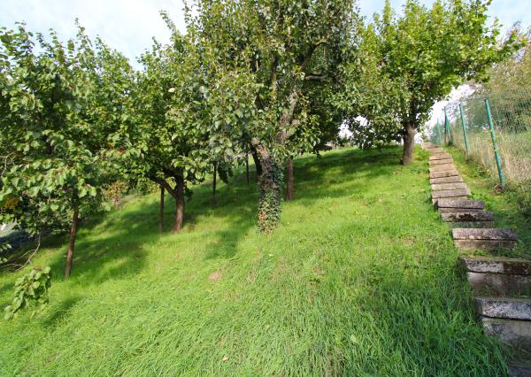 NA PREDAJ - Pozemok s chatkou neďaleko Sĺňavy