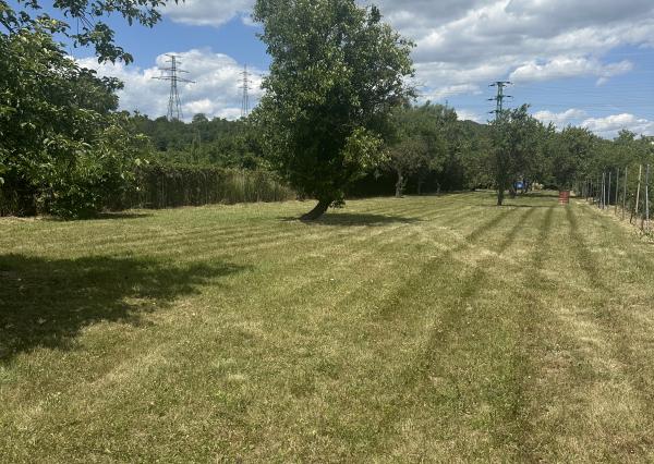 KOLLÁR REALITY ponúka na predaj pozemok v Novom Meste nad Váhom (1554 m2)