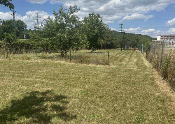 KOLLÁR REALITY ponúka na predaj pozemok v Novom Meste nad Váhom (1554 m2)