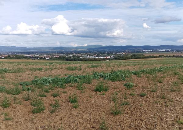 PRIPRAVUJEME NA PREDAJ: POZEMOK VO VRBOVOM