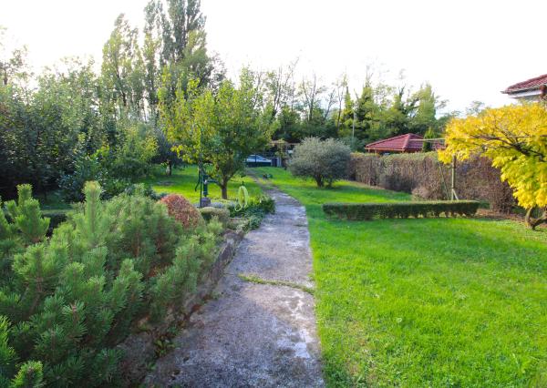 NA PREDAJ - Pozemok s chatkou neďaleko Sĺňavy