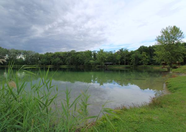 ZNŹENÁ CENA ! - NA PREDAJ - Jazero pri Tomášikove