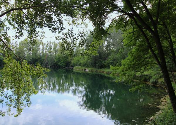 ZNŹENÁ CENA ! - NA PREDAJ - Jazero pri Tomášikove