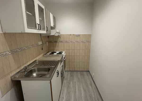 Prenájom Nové Mesto nad Váhom, Športová ulica 1 poschodie