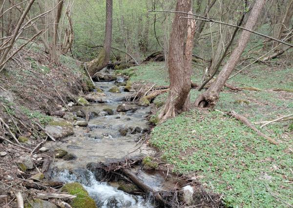 Rekreačný pozemok Turčianske Kľačany 1 757m2