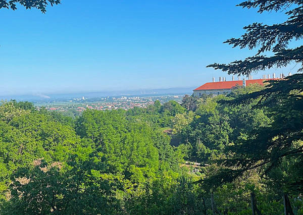 NA PREDAJ - Záhrada v Hlohovci - časť Obora