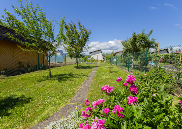 NA PREDAJ Chata s pozemkom 510 m² | Dubnica nad Váhom