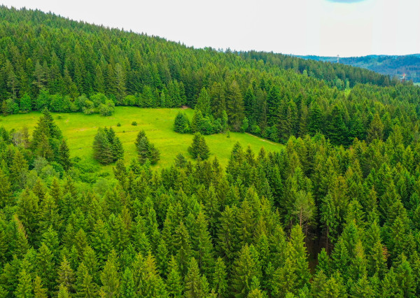 🌾 POZEMOK NA PREDAJ | 1783 m² | Svrčinovec