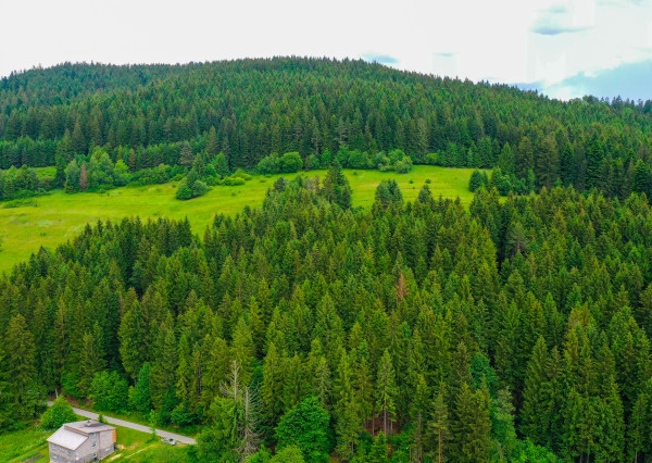 🌾 POZEMOK NA PREDAJ | 1783 m² | Svrčinovec