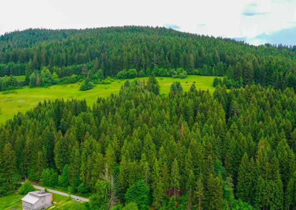🌾 POZEMOK NA PREDAJ | 1783 m² | Svrčinovec