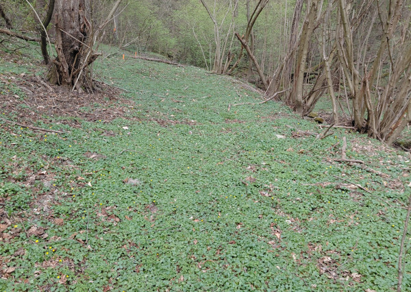 Rekreačný pozemok Turčianske Kľačany 1 757m2