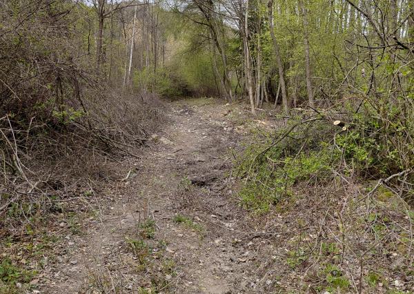 Rekreačný pozemok Turčianske Kľačany 1 757m2