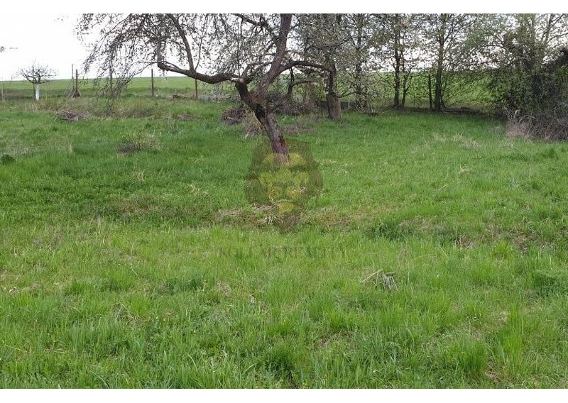 NA PREDAJ KOCURANY , POZEMOK 1214m2