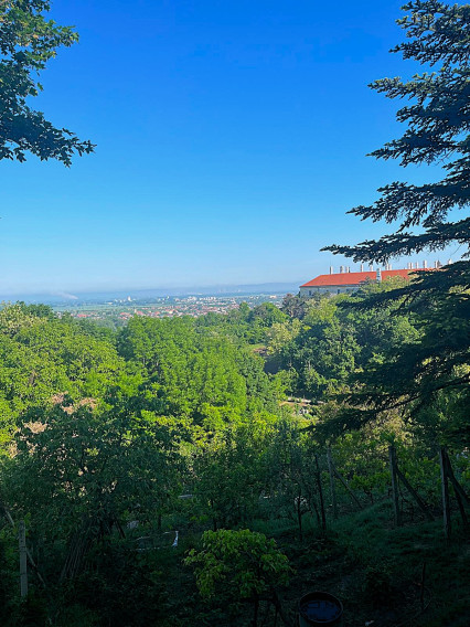 NA PREDAJ - Záhrada v Hlohovci - časť Obora