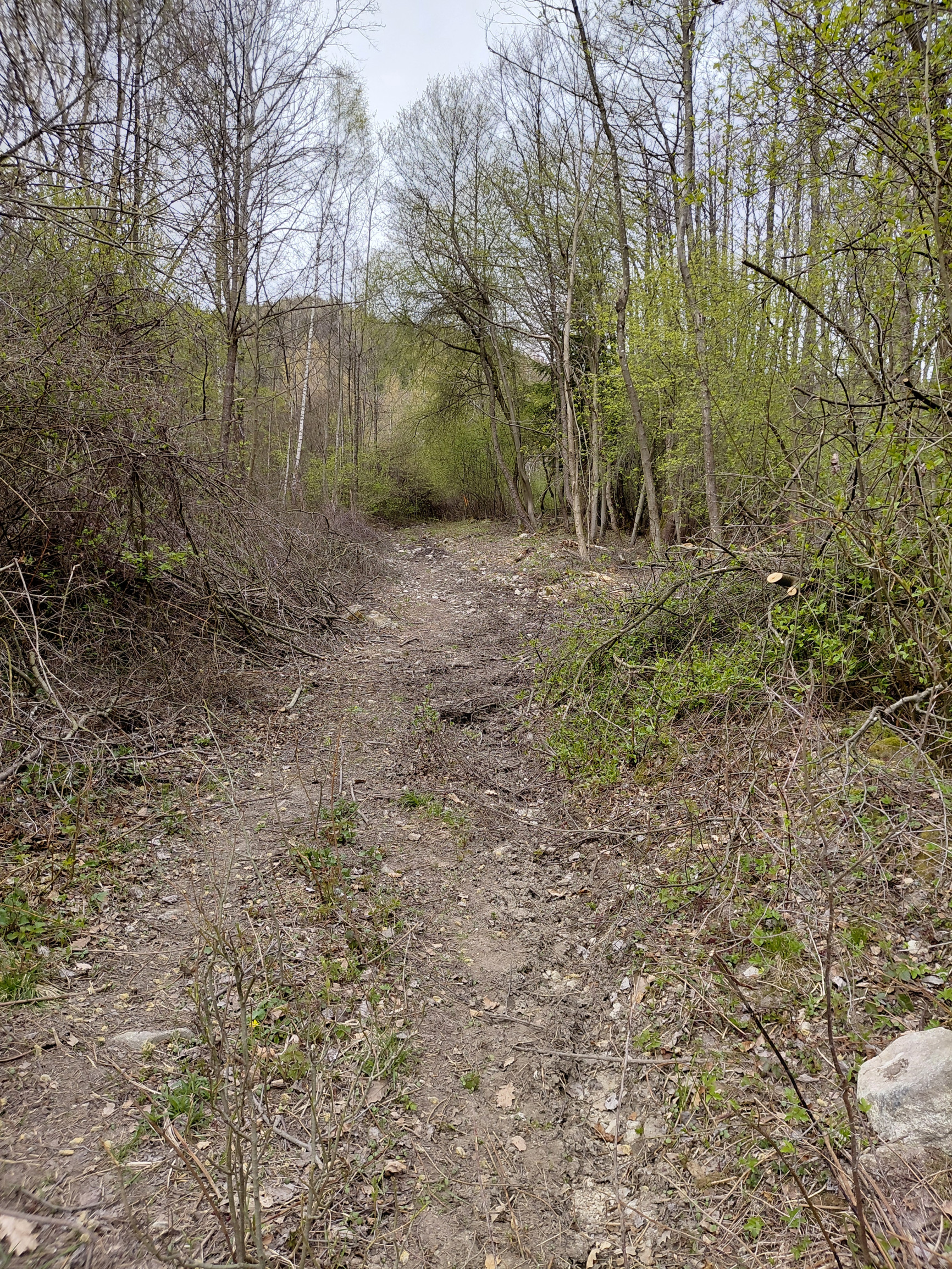 Rekreačný pozemok Turčianske Kľačany 1 757m2